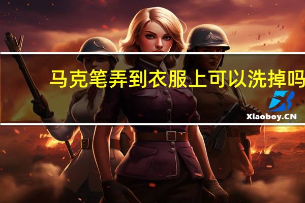 马克笔弄到衣服上可以洗掉吗