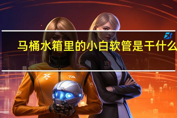 马桶水箱里的小白软管是干什么的