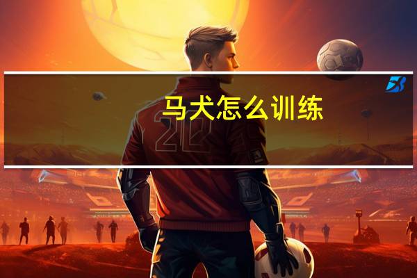 马犬怎么训练