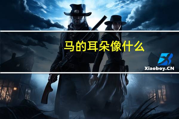 马的耳朵像什么