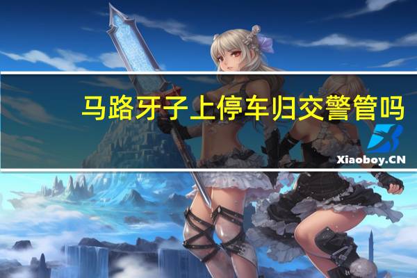 马路牙子上停车归交警管吗