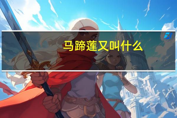 马蹄莲又叫什么