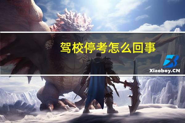 驾校停考怎么回事