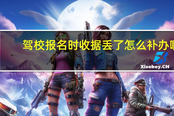 驾校报名时收据丢了怎么补办啊