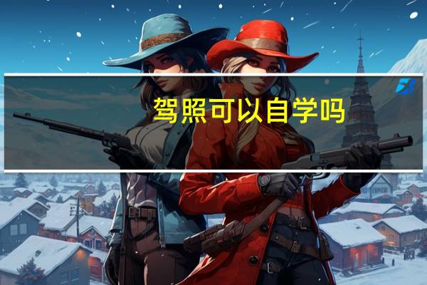 驾照可以自学吗