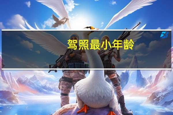 驾照最小年龄