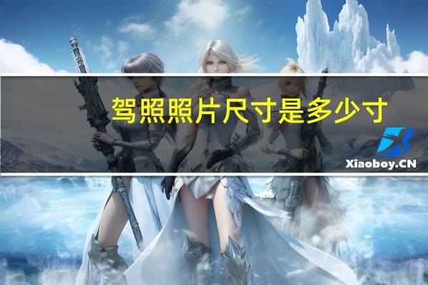 驾照照片尺寸是多少寸