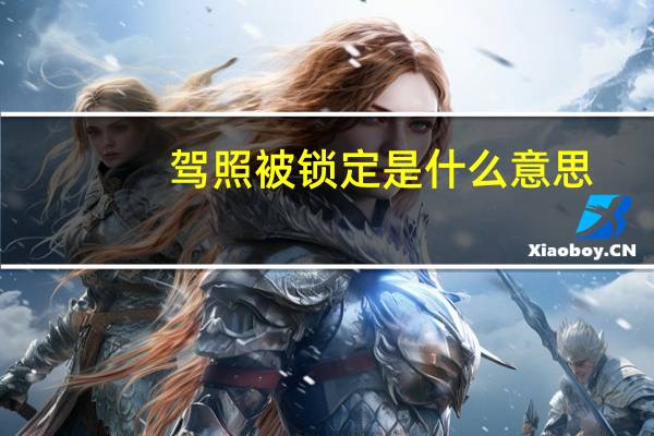 驾照被锁定是什么意思