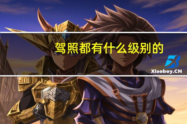 驾照都有什么级别的