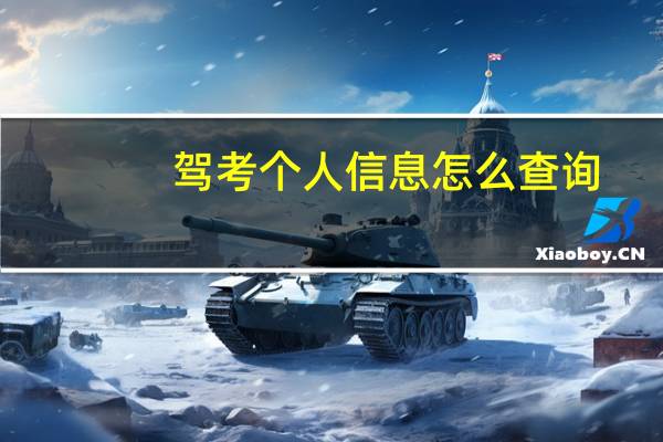 驾考个人信息怎么查询
