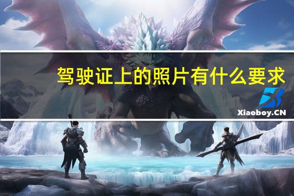 驾驶证上的照片有什么要求