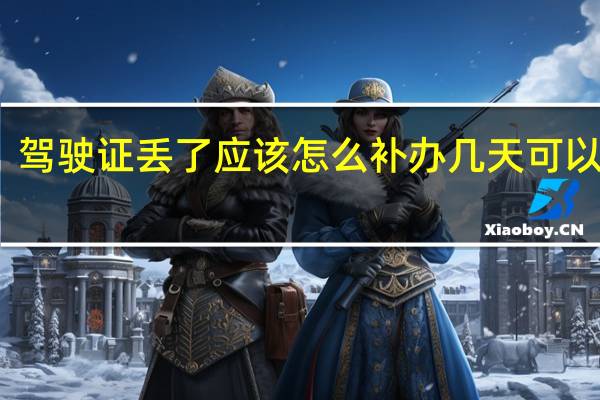 驾驶证丢了应该怎么补办几天可以办好
