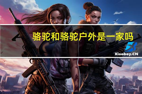 骆驼和骆驼户外是一家吗