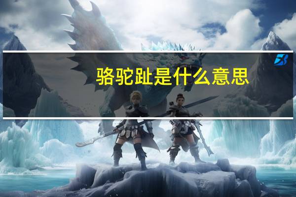 骆驼趾是什么意思