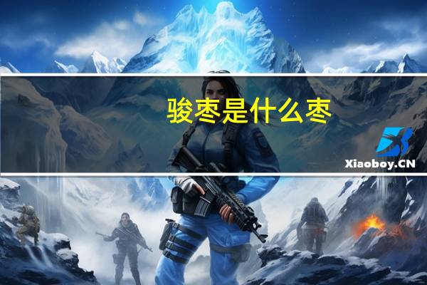 骏枣是什么枣