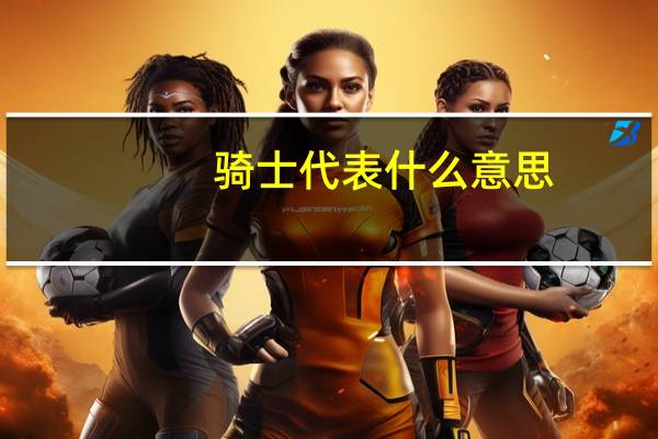 骑士代表什么意思