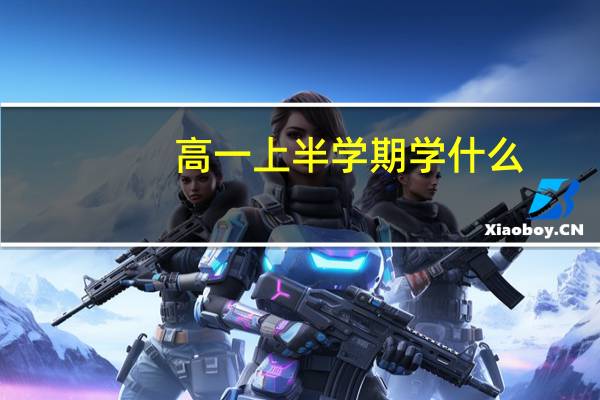高一上半学期学什么