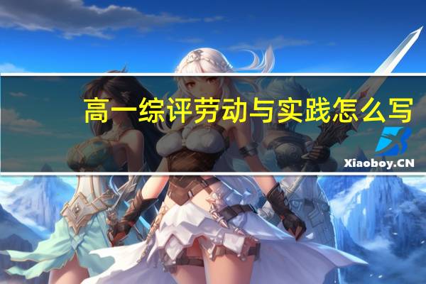 高一综评劳动与实践怎么写