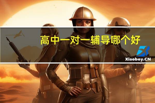 高中一对一辅导哪个好