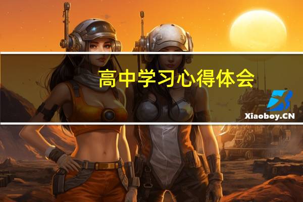 高中学习心得体会