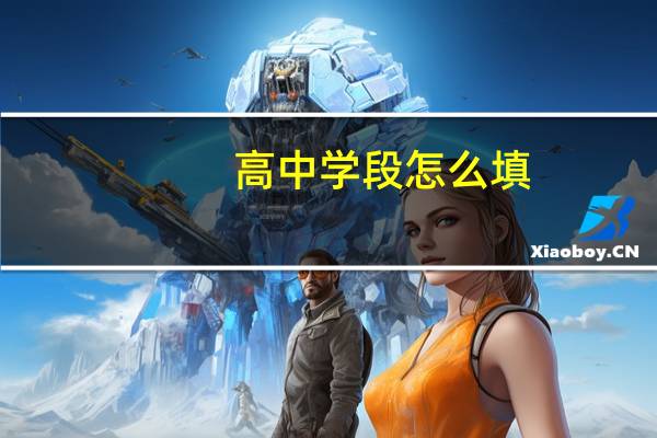高中学段怎么填