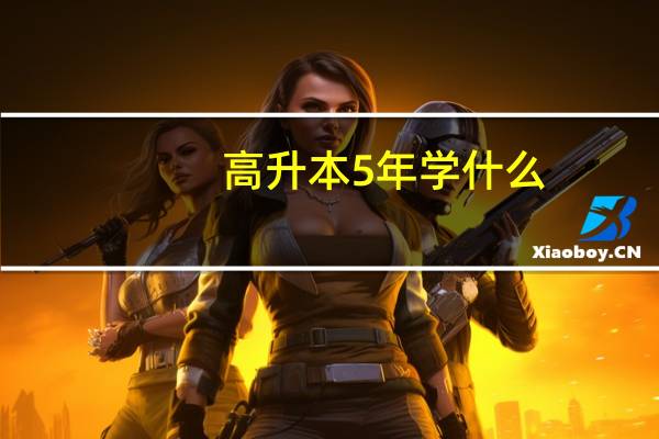 高升本5年学什么