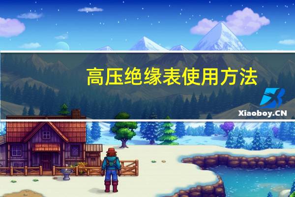 高压绝缘表使用方法