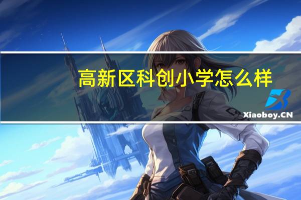 高新区科创小学怎么样
