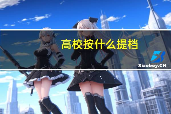 高校按什么提档