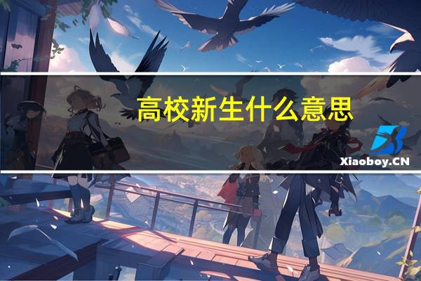 高校新生什么意思