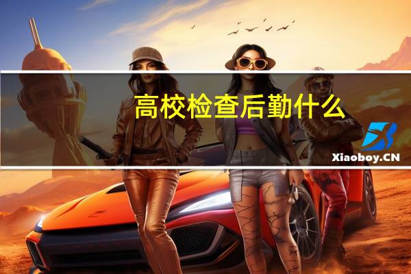 高校检查后勤什么