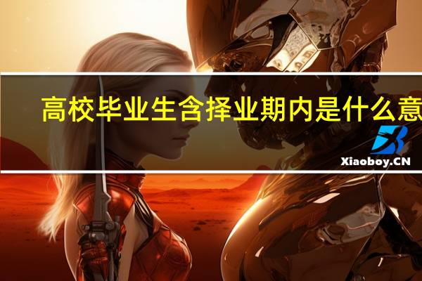 高校毕业生含择业期内是什么意思