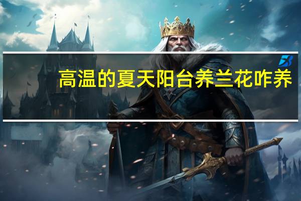 高温的夏天阳台养兰花咋养