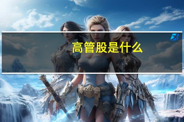 高管股是什么