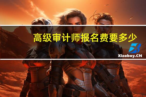 高级审计师报名费要多少