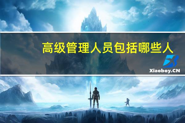 高级管理人员包括哪些人