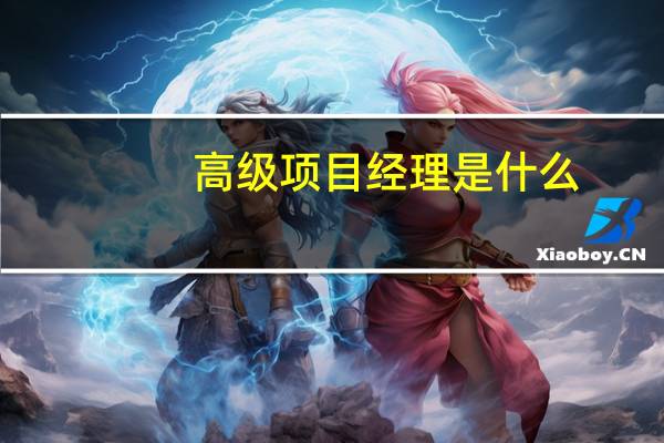 高级项目经理是什么