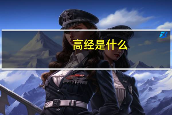 高经是什么