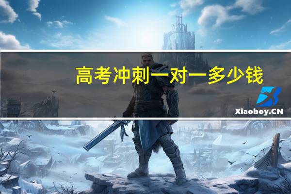 高考冲刺一对一多少钱