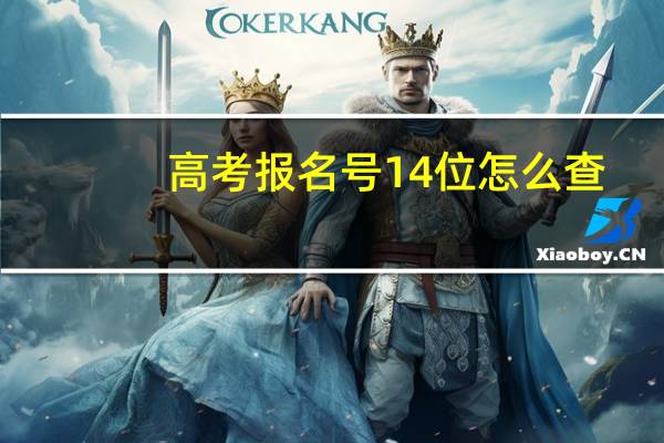 高考报名号14位怎么查