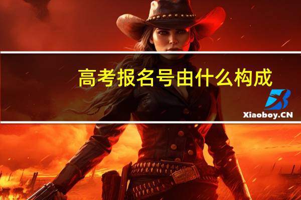 高考报名号由什么构成