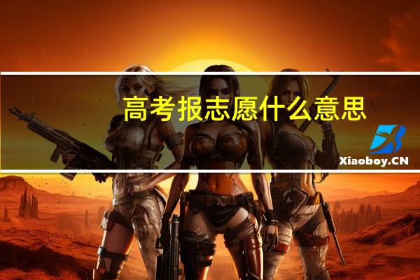 高考报志愿什么意思