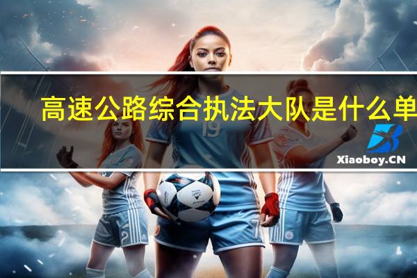 高速公路综合执法大队是什么单位