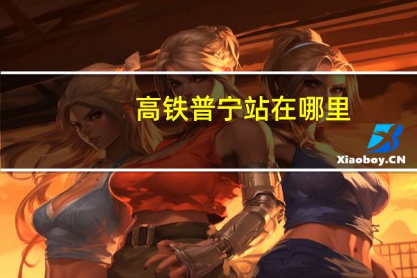 高铁普宁站在哪里