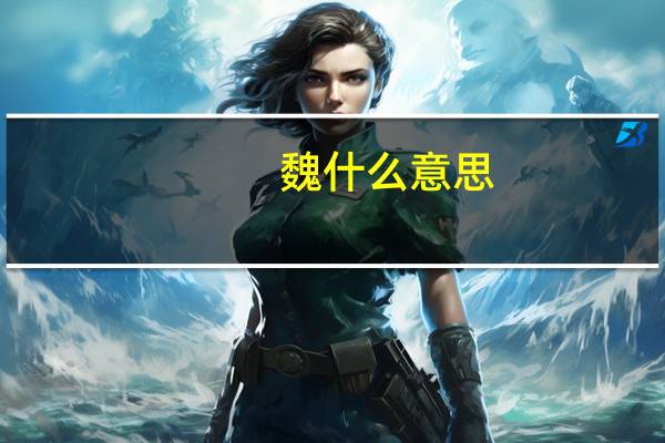 魏什么意思