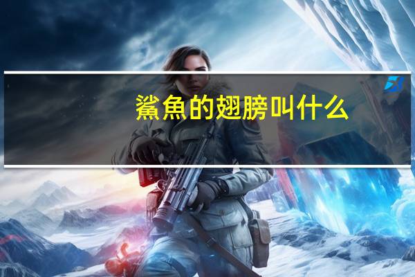 鯊魚的翅膀叫什么