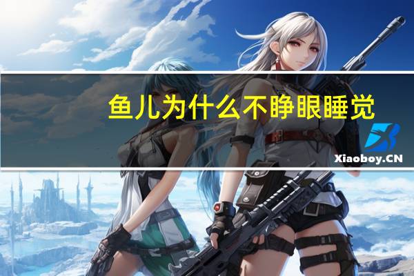 鱼儿为什么不睁眼睡觉