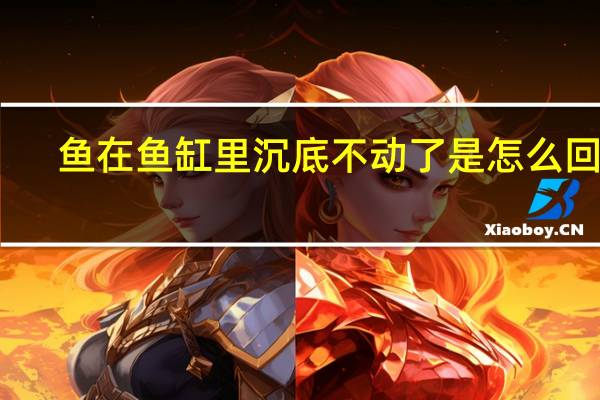 鱼在鱼缸里沉底不动了是怎么回事