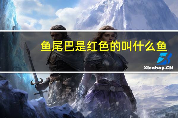 鱼尾巴是红色的叫什么鱼