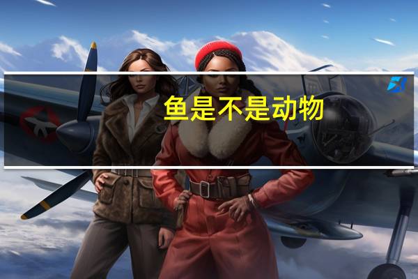 鱼是不是动物